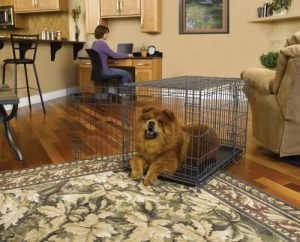 MidWest Select Triple-Door Dog Crate
