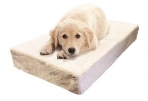 Milliard Premium Orthopedic Pet Bed