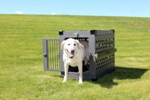 Foldable Heavy Duty Dog Crate