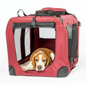 EliteField Folding Soft-Sided Dog Crate red