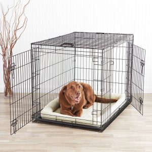 dog at home in a cage
