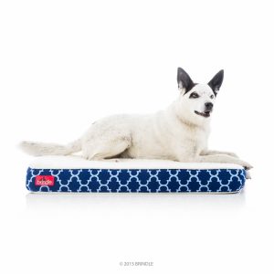 BRINDLE Waterproof Designer Memory Foam Pet Bed