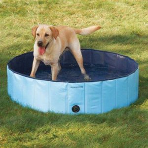 PetEdge Guardian Gear Splash About Dog Pool