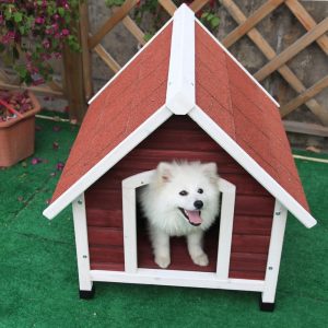 Dog Sitting in a Dog House