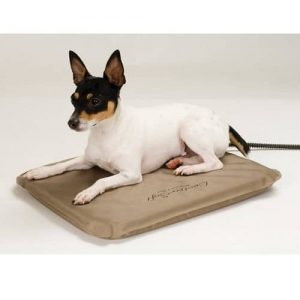 K&H Manufacturing Lectro-Soft Outdoor Heated Bed with a Dog on It