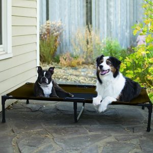 K&H Manufacturing Original Pet Cot with Dogs Outdoors