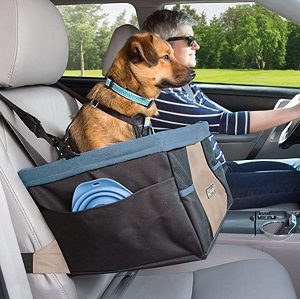 Kurgo Skybox Booster Dog Car Seat with dog