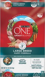 Purina One large breed puppy formula