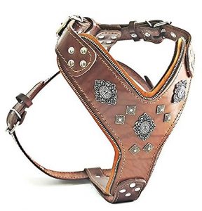 Bestia “Aztec” Big Dog Leather Harness