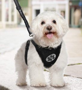 SlowTon Dog Car Harness Plus Connector Strap