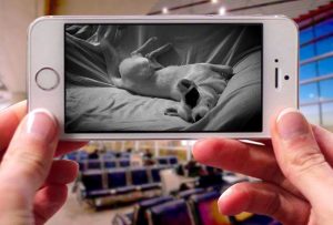 TOOGE Pet Camera app for iphone