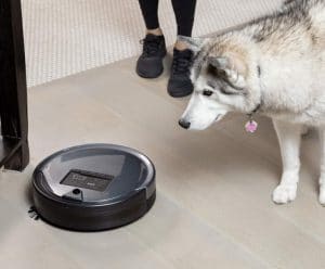Huskey Looking at The Automatic Vacuum Cleaner