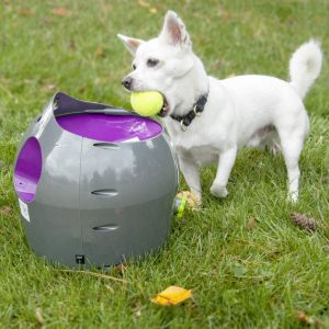 PetSafe Automatic Ball Launcher Dog Toy, Tennis Ball Throwing Machine for Dogs in Easy-Open Packaging