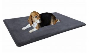 Dogbed4less Premium Gel-Infused Memory Foam Pet Mat for Medium to Extra Large Dogs