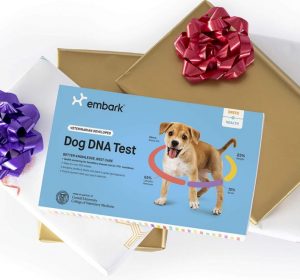 Embark Dog DNA Test | Breed & Health Kit