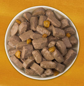 Kibbles of Wet Dog Food in A Dog Plate
