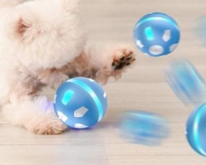 Wicked Ball Fun Gift for Cats & Dogs