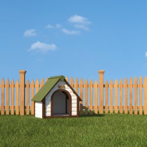 Dog House Near Wooden Fence