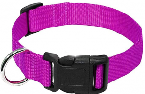 AEDILYS Adjustable Nylon Dog Collar Classic Solid Colors for Small Sized Dogs Neck