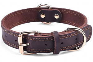 DAIHAQIKO Leather Dog Collar Genuine