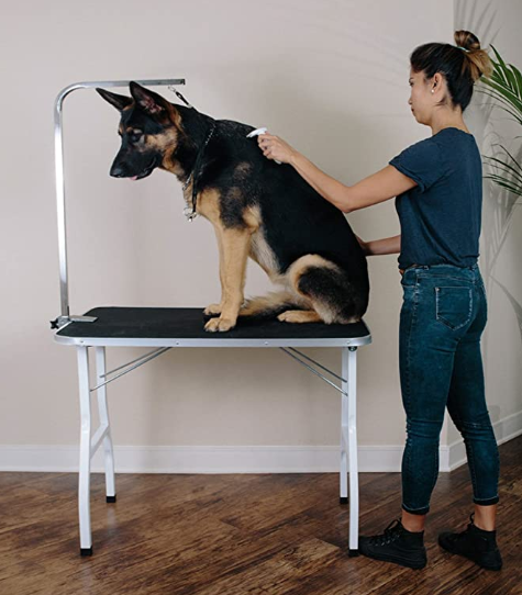 Dog Grooming Table: Best Pet Grooming Table Review | Dogsrecommend