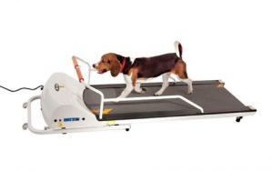 GOPET PETRUN PR720F TREADMILL FOR DOGS UP TO 132 LBS