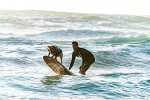 Surfer and His Dog on a Surf Board