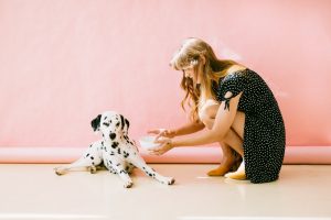 white and black dalmatian dog sitting in front of woman near