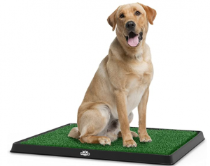 Artificial Grass Bathroom Mat for Puppies and Small Pets- Portable Potty Trainer