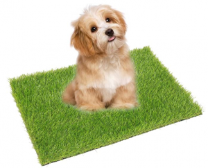 ECO MATRIX Artificial Grass Dog Training Door Mat Pee Pad