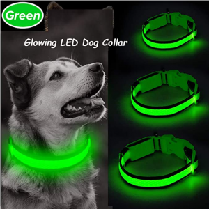 Ezier USB Rechargeable Glow in The Dark Dog Collar - Walking Lights Dog Collar