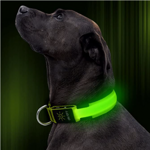 Illumifun LED Dog Collar, USB Rechargeable Nylon Webbing Adjustable Glowing Pet Safety Collar