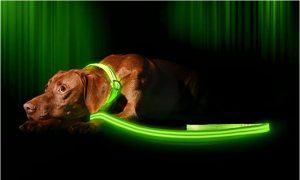 Illumiseen LED Dog Leash - USB Rechargeable - Available in 6 Colors & 2 Sizes