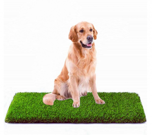 MTBRO Artificial Grass, Professional Dog Grass Mat