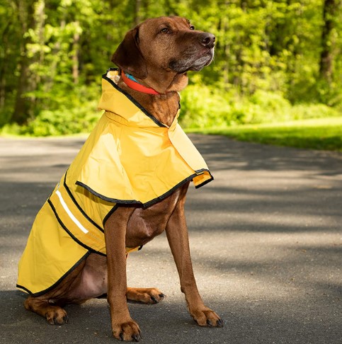 Fashion Pet Dog Raincoat For Small Dogs