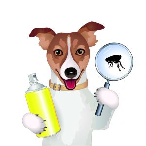 The Best Flea Spray for House for Pets