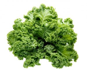 Your Dog Can Eat Kale Safely