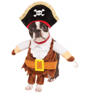 rubies party supplies pirate costume
