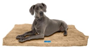 best orthopedic dog bed for large dogs