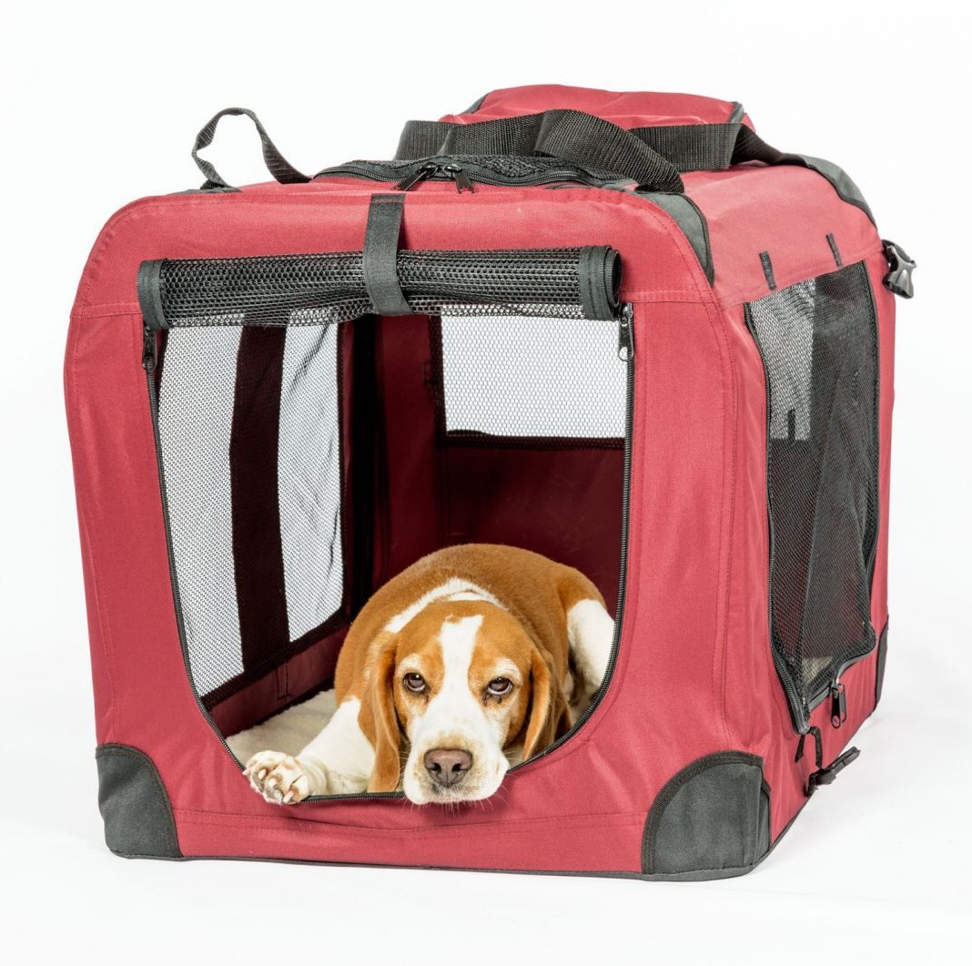 The 6 Best Soft Sided Dog Crates in 2020