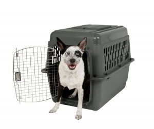 Aspenport Porter Dog Travel Crate