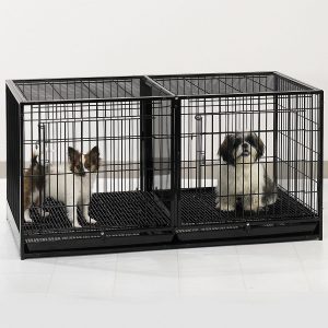 Dog sitting In A Dog Cage With Divider