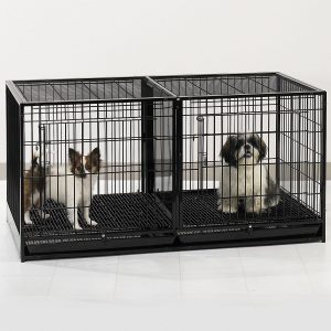 2 dog dog crate