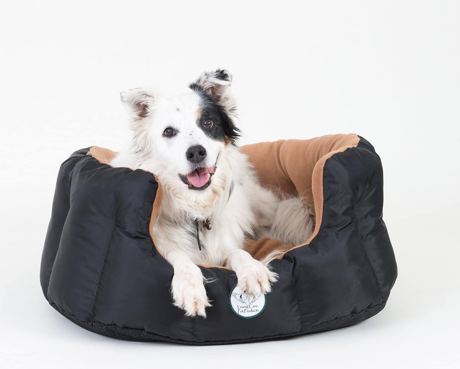Best Heated Dog Beds (January 2021 Review)