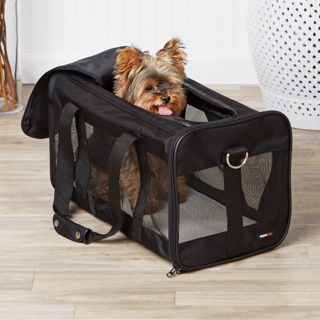 The 6 Best Soft Sided Dog Crates in 2020