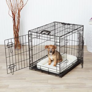 AmazonBasics Double-Door Folding Metal Dog Crate