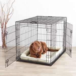 dog cages inside home