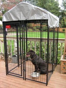 tarps for dog pens