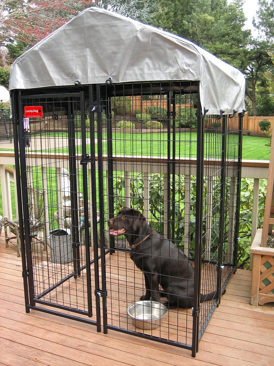 Outdoor Dog Kennels and Crates (January 2021 Review)