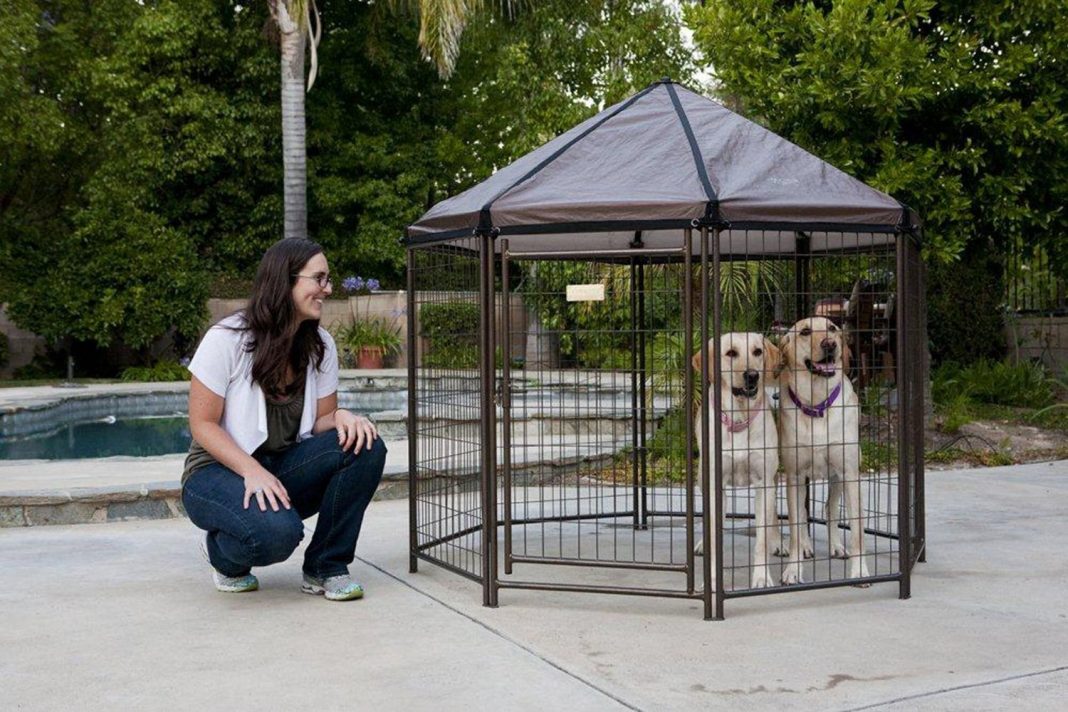 Outdoor Dog Kennel The Best Large Outdoor Dog Crates of 2020